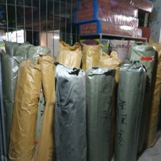 Chiếu trúc tăm