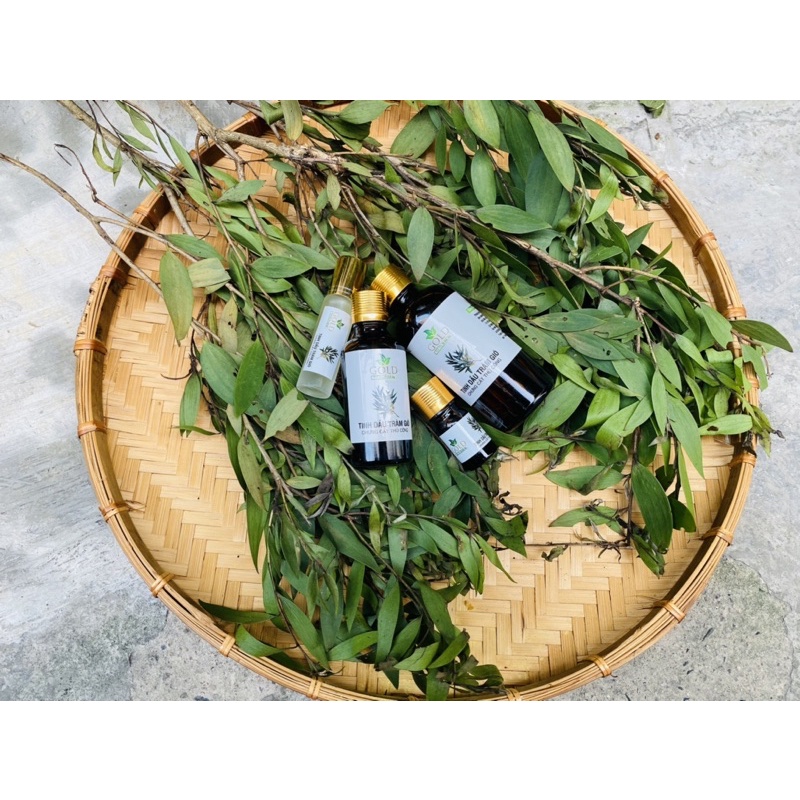 TINH DẦU TRÀM GIÓ NGUYÊN CHẤT • MẸ VUI, BÉ KHOẺ •MAMY GOLD