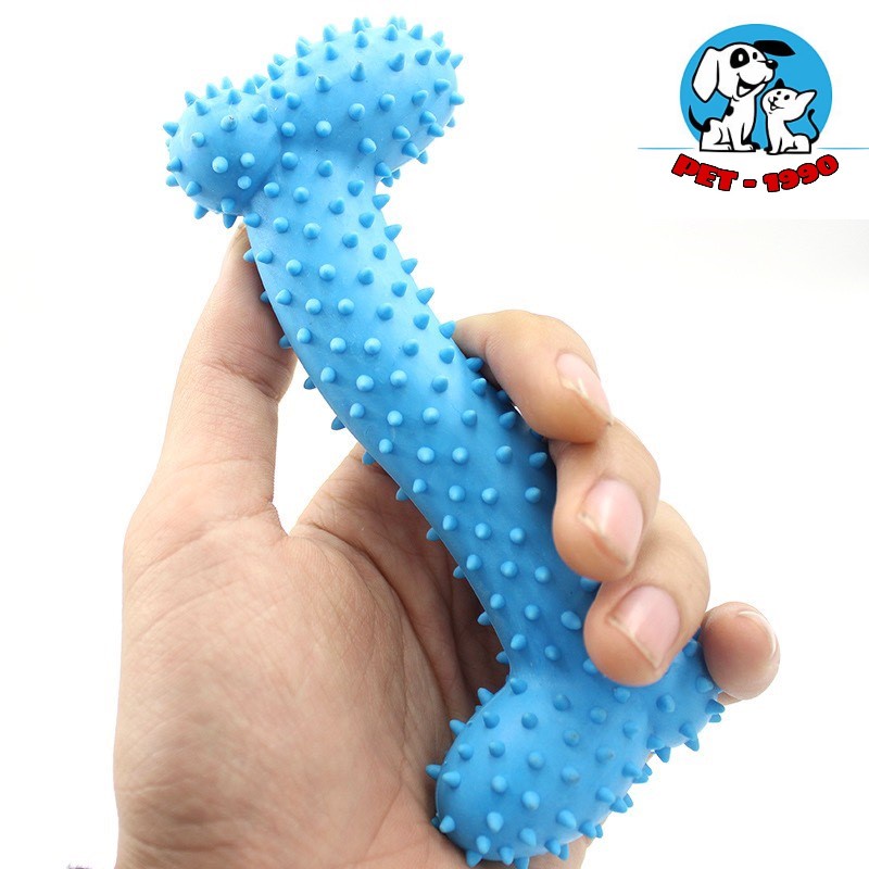 Đồ Chơi Xương Gặm Cao Su Có GAI Cho Chó Mèo Gặm Sạch Răng - Pet1990