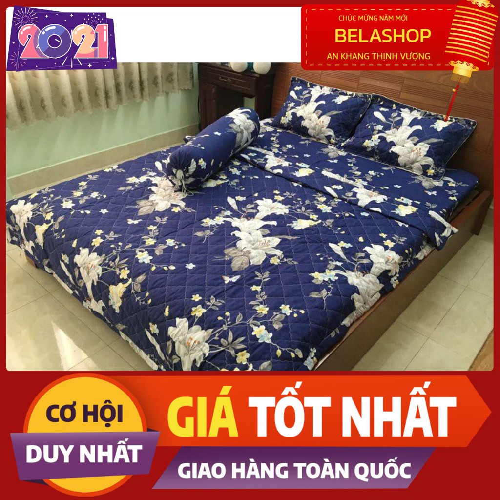 Bộ ga gối kèm vỏ gối ôm 2m2 Drap Cotton Poly Vikona mã GGO17