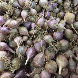 1kg TỎI 1 NHÁNH ĐIỆN BIÊN