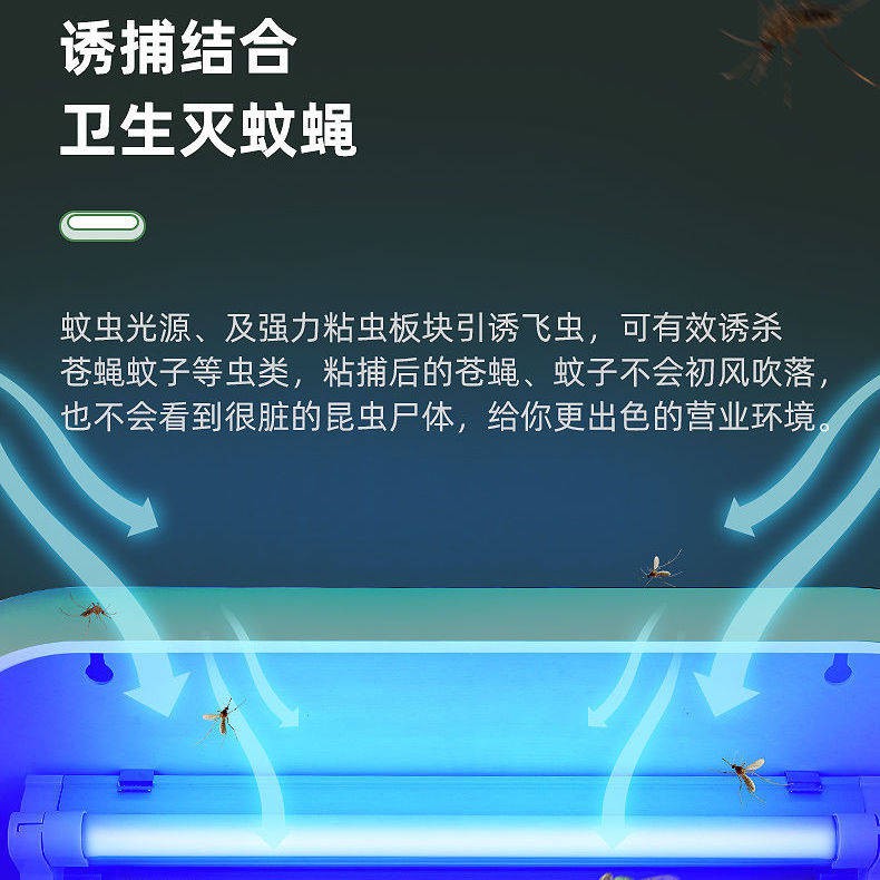 Khách sạn, cửa hàng khách sạn với các tạo phẩm bay, thương mại, thương mại, treo tường