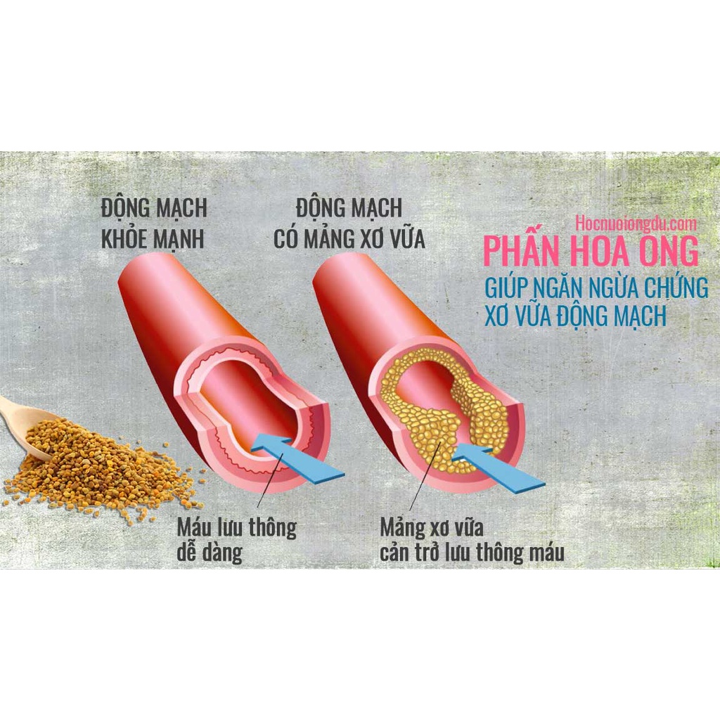 phấn hoa rừng nguyên chất ( túi zip)