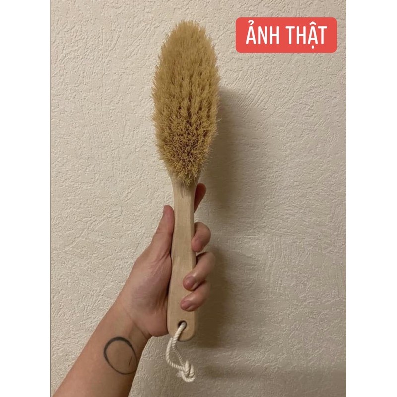 Bàn chải khô/ Cọ chà lưng