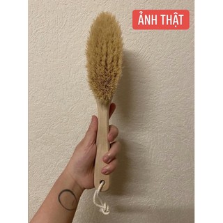 [HÀNG NỘI ĐỊA NGA] Bàn chải khô/ Cọ chà lưng