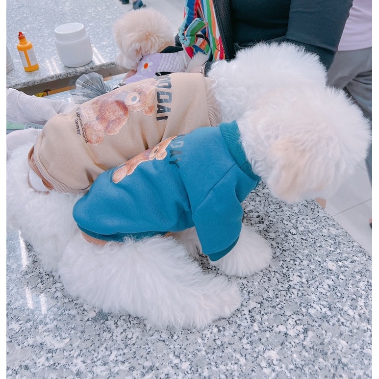 Áo thun Hàn Quốc cho chó mèo thú cưng hình gấu 3D