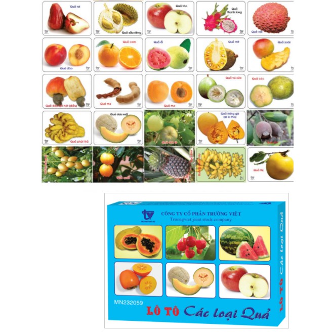 Bộ thẻ học các chủ đề cho bé kèm tiếng Anh