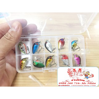 Mồi lure mini cá lóc - tráp - chẽm mini chuppy