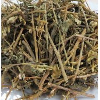 1kg cà gai leo