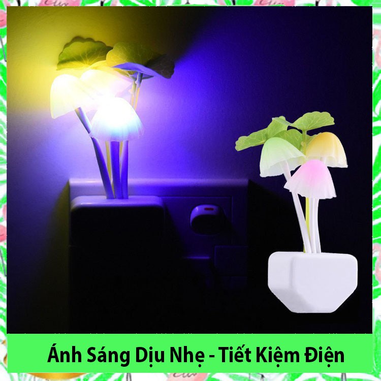 Đèn ngủ hình nấm dễ thương cảm biến ánh sáng tự động chuyển màu  - Domdom Store