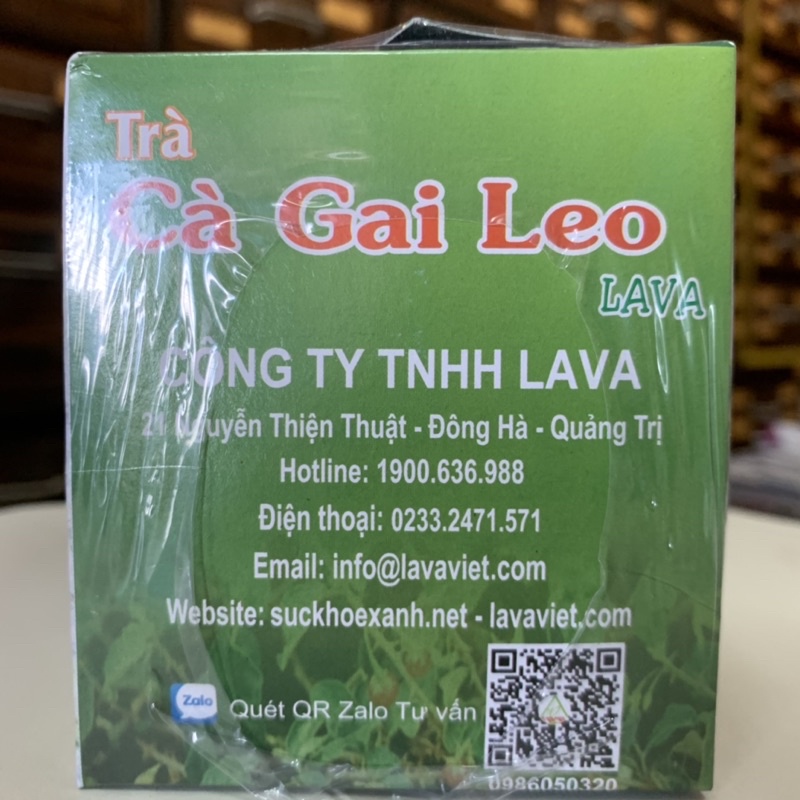 Trà Cà Gai Leo Lava - suy giảm chức năng gan