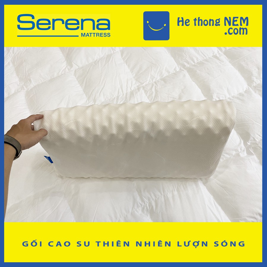 T1 Gối Massage cao su thiên nhiên cao cấp SERENA Convoluted 50x70 lượn sóng - Hệ Thống Nệm