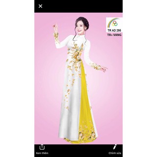 sét bộ áo dài truyền thống