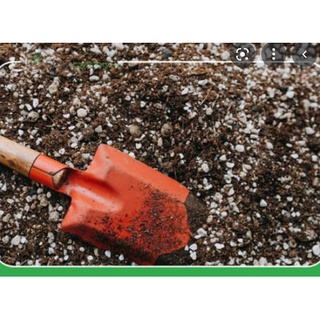 1kg SOIL MIX giá thể trồng sen đá xương rồng trộn sẵn (túi zip)