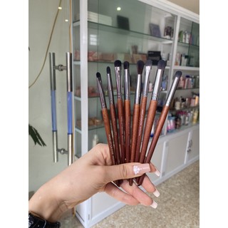 Cọ Mắt Lẻ cây
