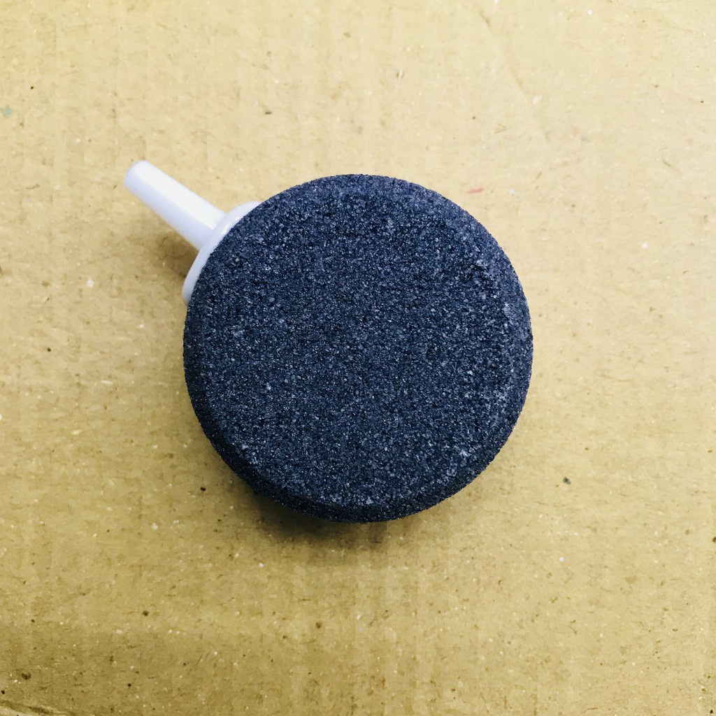Quả Sủi Đĩa - Phụ Kiện Máy Sủi Oxy