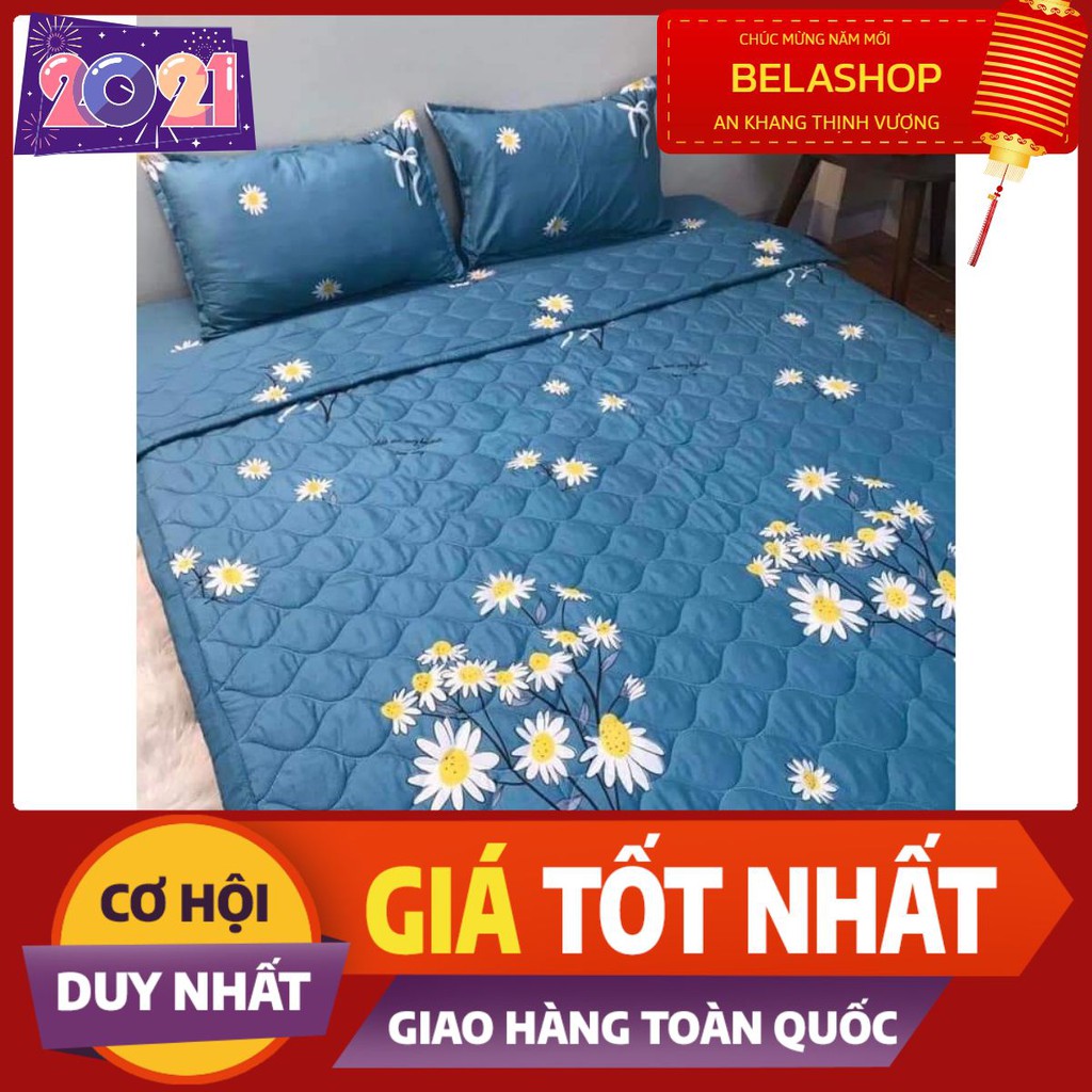 Chăn hè thu trần bông 3 lớp poly,mền trần bông,hàng có sẵn tại tphcm,cành hoa cúc đơn