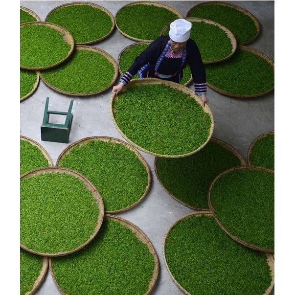 500g Trà Nõn Tôm Thái Nguyên (Đặc Sản Chè Tân Cương) Vị Đậm Đà