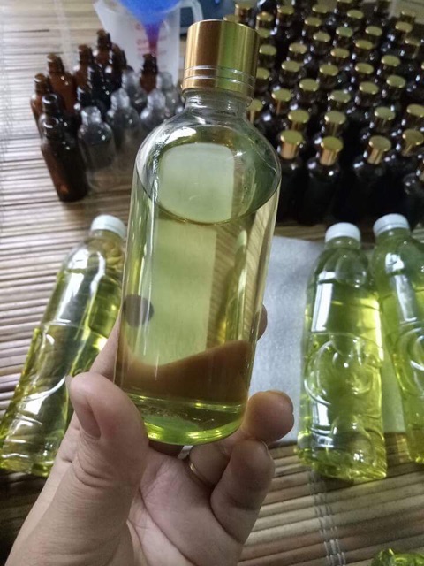 Tinh chất tràm gió 50ml