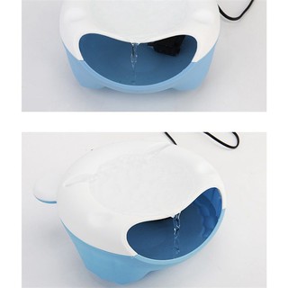 Bình nước tự động cho thú cưng