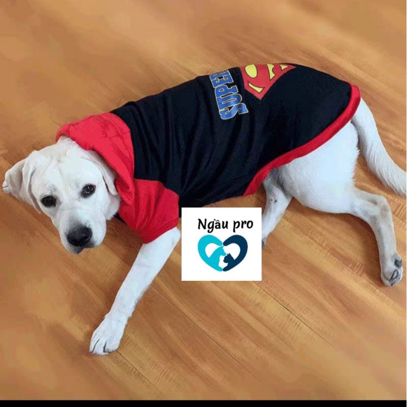 Áo cho chó lớn husky, golden, Alaska, Samoyed - Quần áo cho chó thú cưng in hình Siêu nhân SUPERMAN full size S đến 7XL