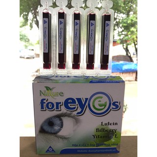 NATURE FOR EYES- Giảm mỏi mắt, mờ mắt