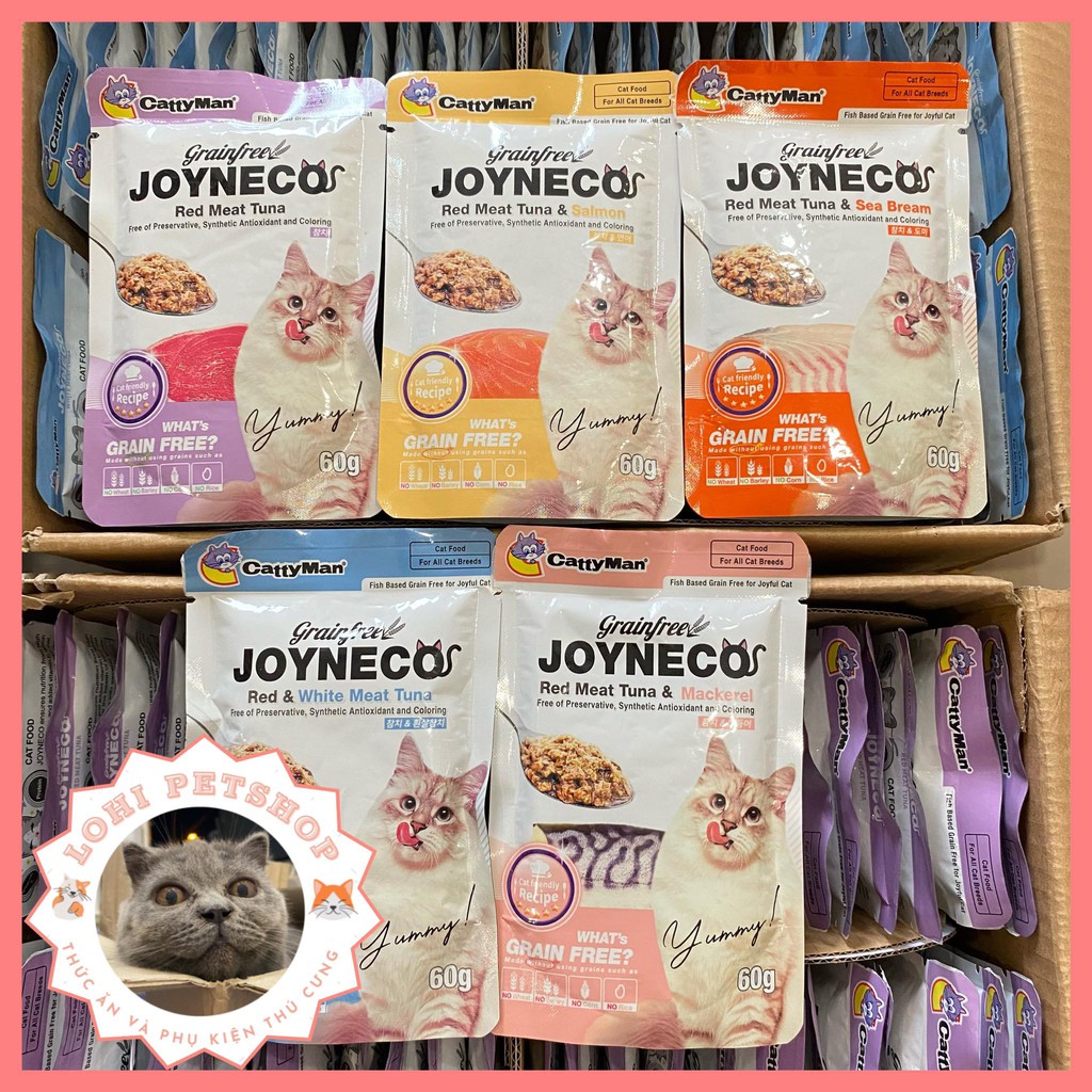 Thức ăn pate joyneco gói 60gr pate cho mèo chọn vị