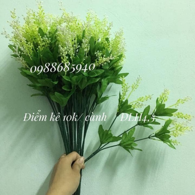 Điểm kê giá rẻ | BigBuy360 - bigbuy360.vn