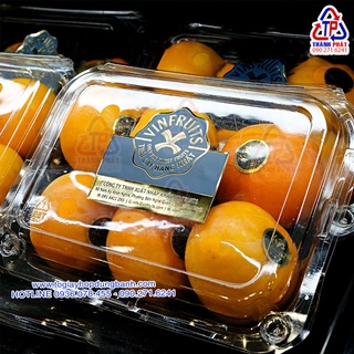 50 Hộp P1000C -2015 - Hộp đựng 4 trái táo - Hộp đựng trái cây nhập khẩu 1kg-2kg