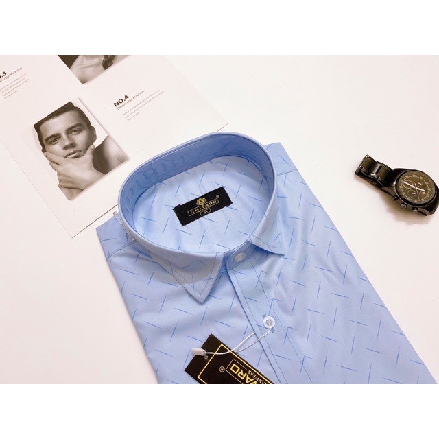 Áo Sơ Mi Hoa Nhí Đủ Màu Trắng Xanh Nhạt Xanh Đậm Dành Cho Nam Và Nữ Siêu Sales Hot Nhất TITI-Fashion Trong Năm Nay 1006 | BigBuy360 - bigbuy360.vn