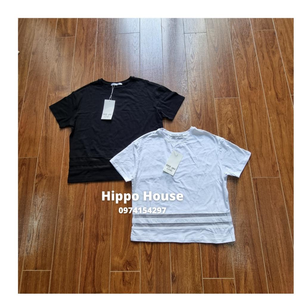 Áo phông Trơn Màu Cộc Tay Áo Thun cho Bé Gái Hippo House Size Đại 25 – 60kg Dáng Croptop Chất Cotton Mềm Mịn