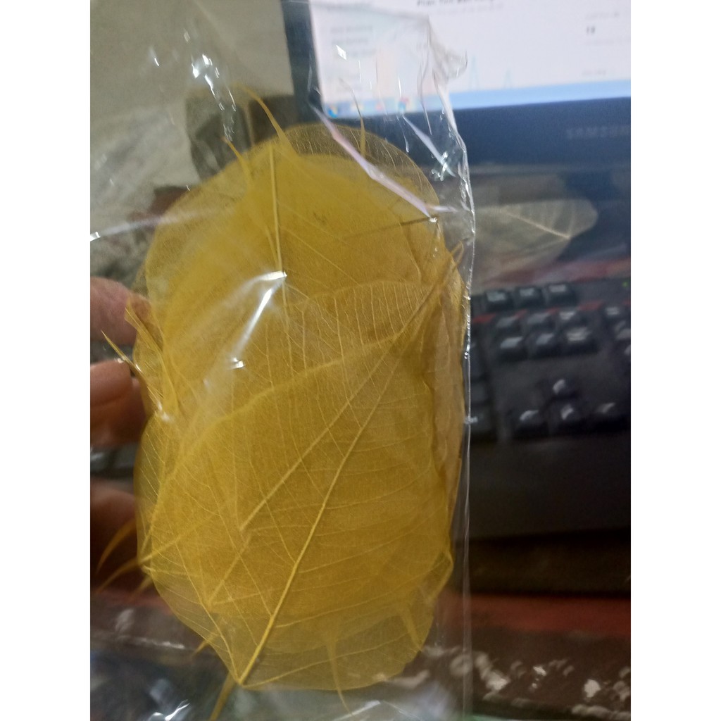 tổng kho -set 5 xương lá bồ đề vừa điện thoại | BigBuy360 - bigbuy360.vn