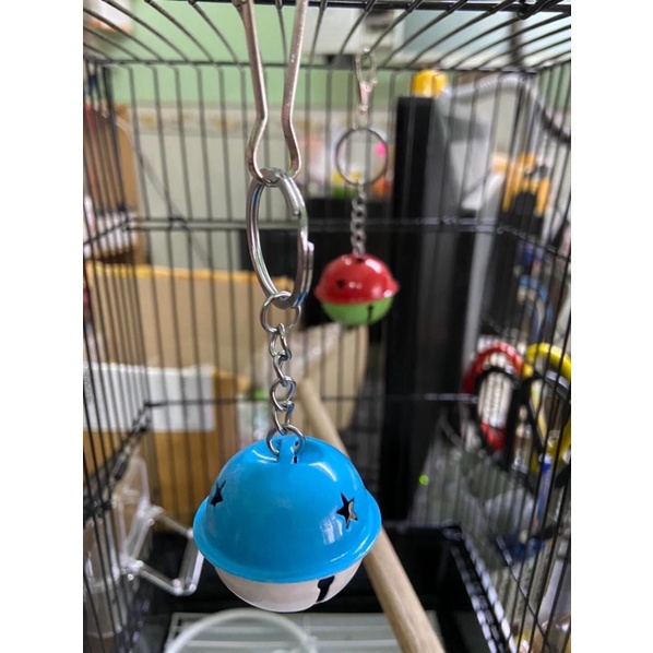 Chuông vòng cho chim vẹt