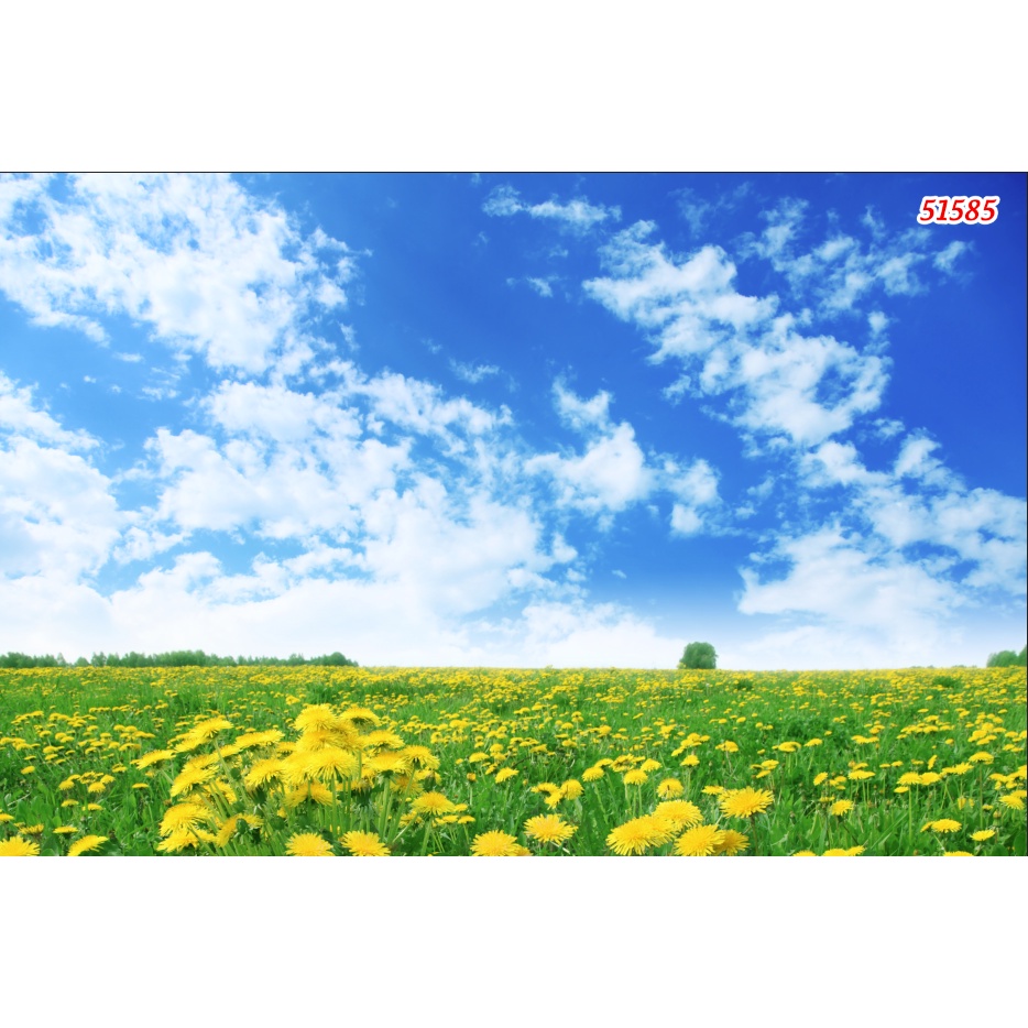 Tranh dán tường 3D cảnh rừng cây lãng mạn 3d