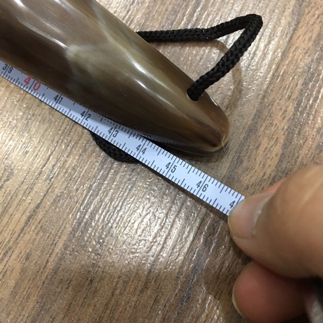 Đón gót giày sừng trâu tự nhiên dài 46cm