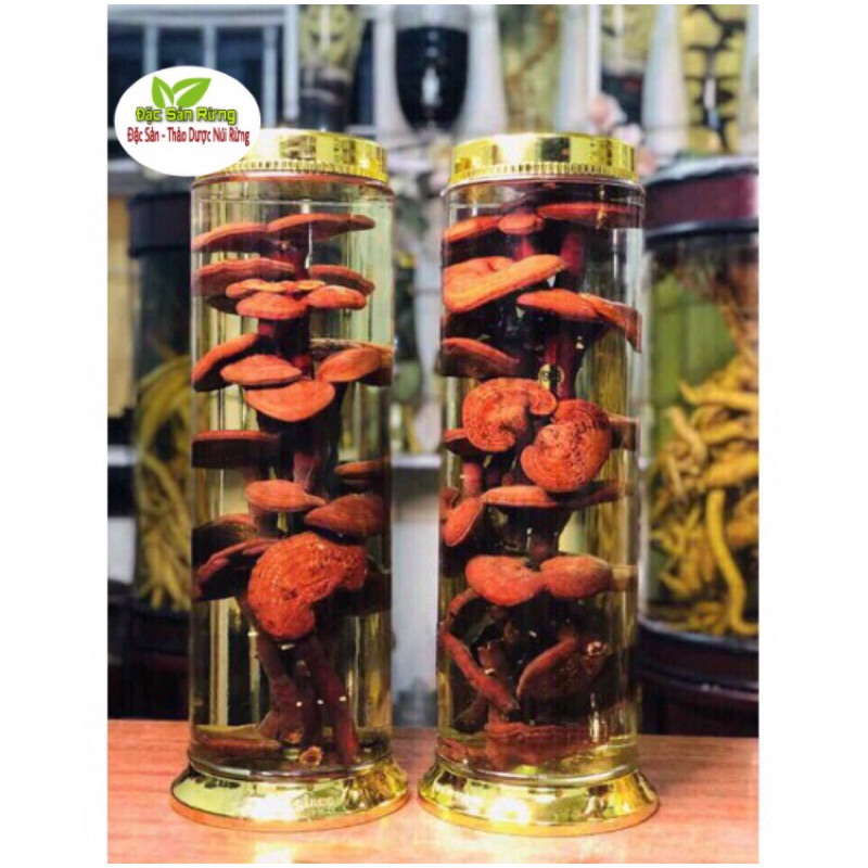 Nấm Linh Chi Đỏ Khô 500gr - Đặc sản rừng