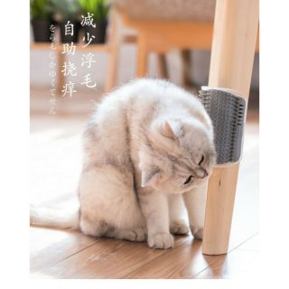 Matxa lông chó mèo gắn tường