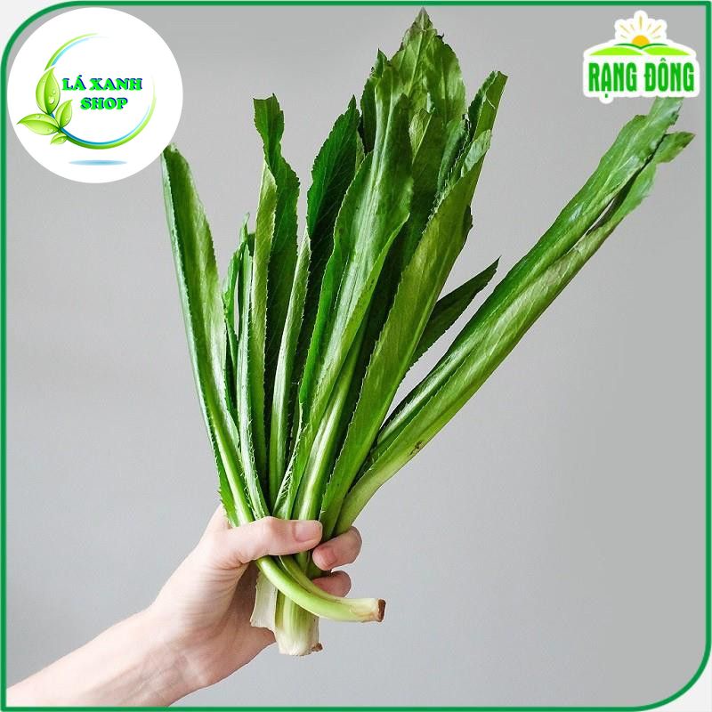 Hạt Giống Ngò Gai (Rau Thơm Mùi Tàu) Dễ Trồng, Sinh Trưởng Tốt (gói 10 gram) - Hạt giống Rạng Đông
