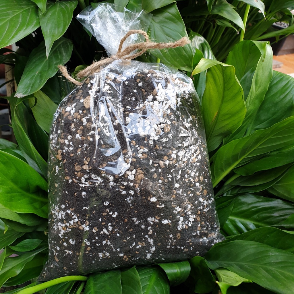 Đất trồng sen đá, xương rồng 1kg 🔥FREE SHIP🔥 siêu phẩm trồng sen đá, xương rồng