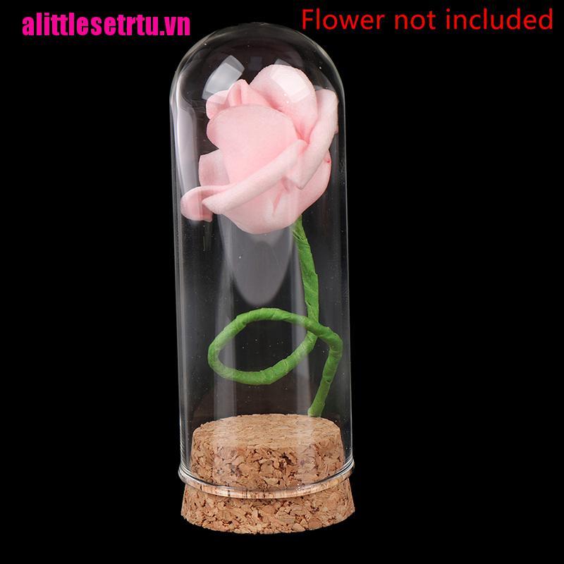 【Trvn】1/6 Doll Glass Dome Display Wood Cork Bell Jar With Wooden Base Decoatio