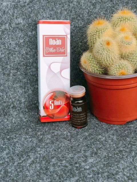 [RẺ VÔ ĐỊCH] NOÃN THỰC VẬT CHÍNH HÃNG 100% | BigBuy360 - bigbuy360.vn