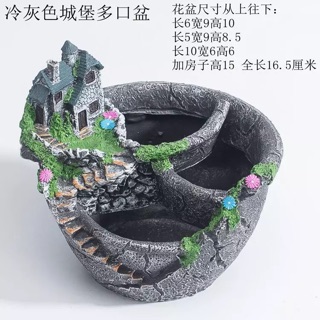 Chậu cây cảnh độc đáo