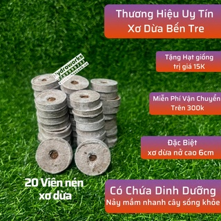 Viên nén ươm hạt, viên nén xơ dừa 20 viên ươm