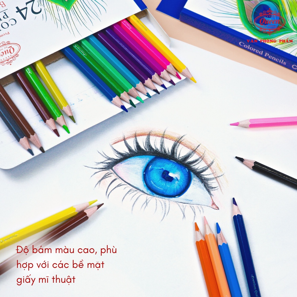 Bút chì màu Queen  - 12/18/24 Màu - CP-H12/CP-H18/CP-H24 - Chính Hãng