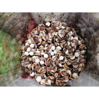 Kẹo Chobisca/Chobisca chocolate cracker -1 cái