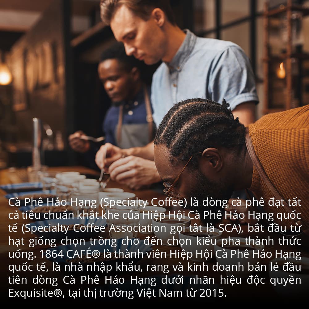 120g Specialty Coffee Nguyên Hạt Brazil São Silvestre Cà Phê Hảo Hạng Exquisite® | BigBuy360 - bigbuy360.vn