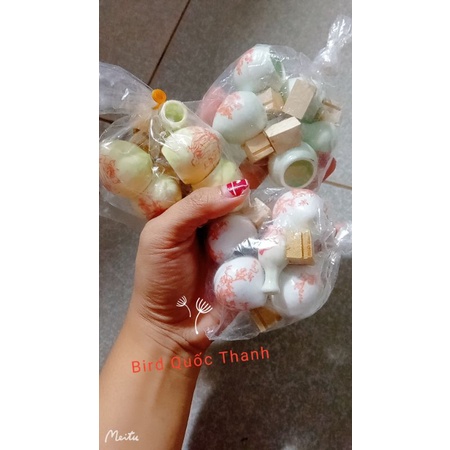 Bộ ly sứ vành khuyên