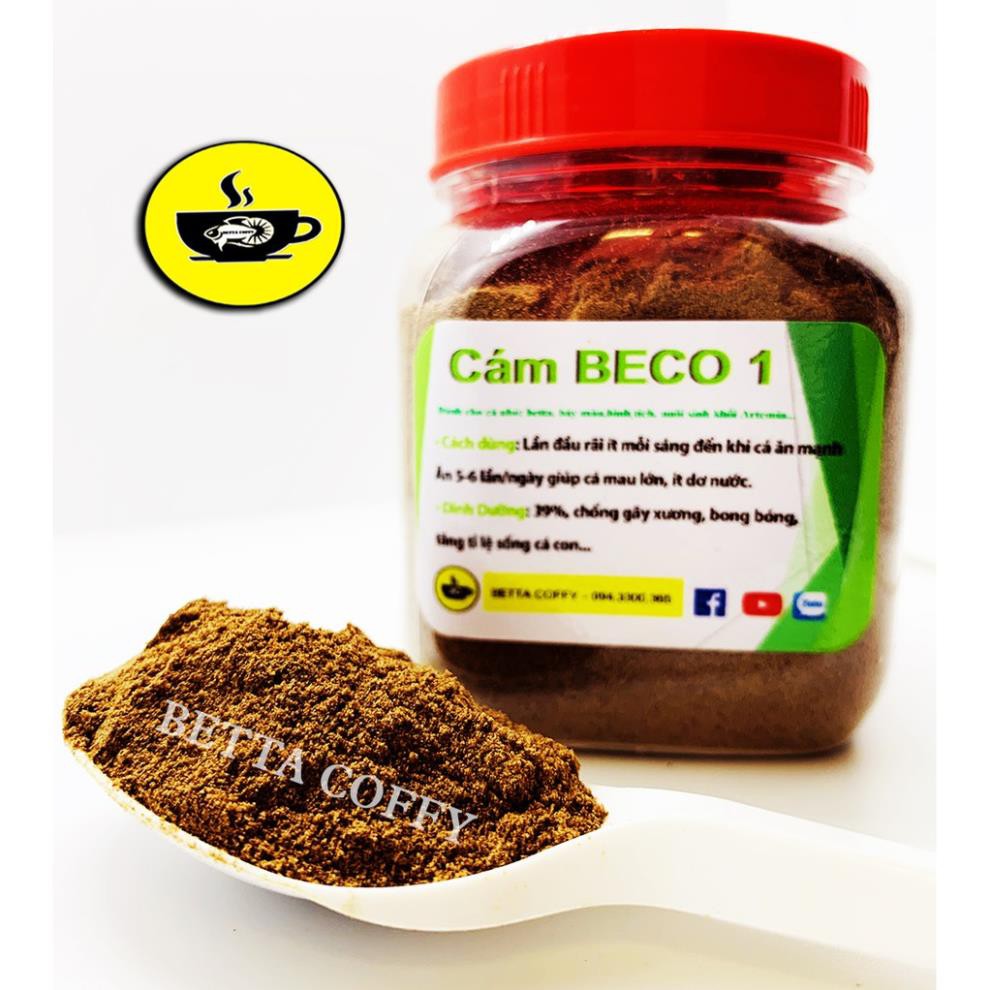 Cám BECO 1 - Thức ăn cho cá con 🐣 BETTA COFFY ☕️