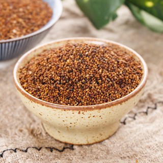 Thỏ ty tử loại 1 vàng đẹp 100 gram.