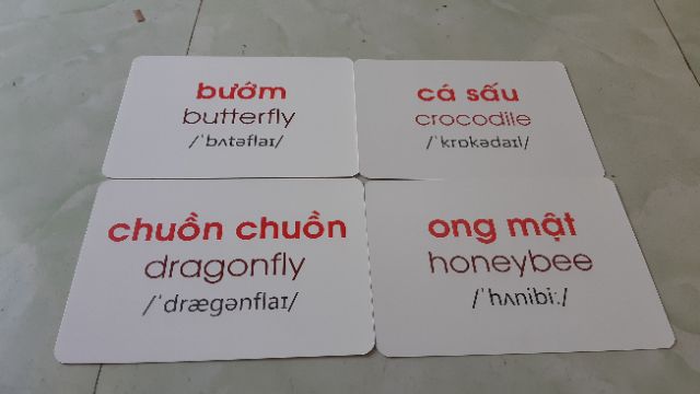 Sách - Thẻ Flashcard Theo Phương Pháp Glenn Doman - Thế Giới Quanh Em: Côn Trùng - Bò Sát - Lưỡng Cư